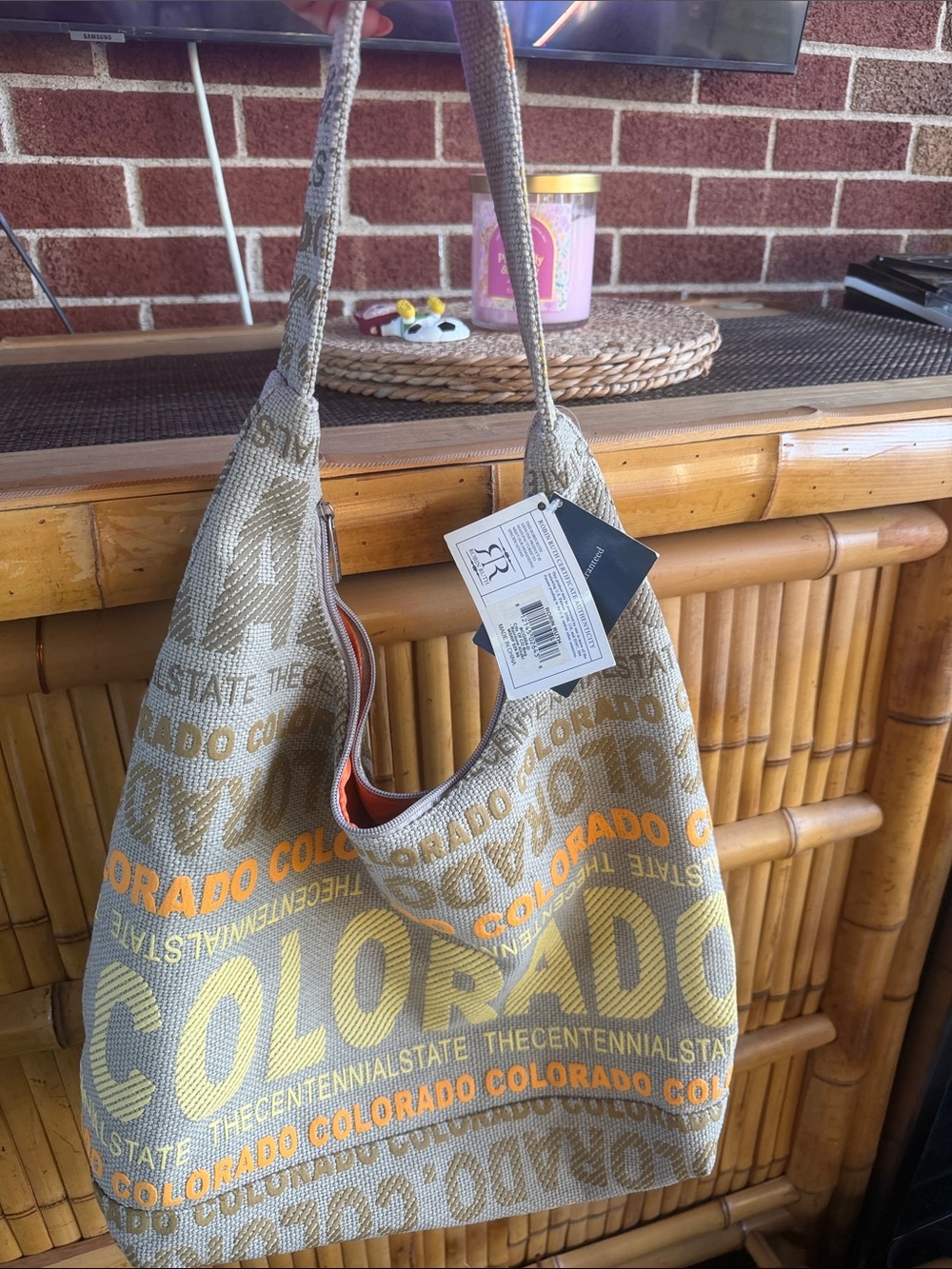 Robin Ruth Colorado Canvas Hobo Bag in Beige and Orange